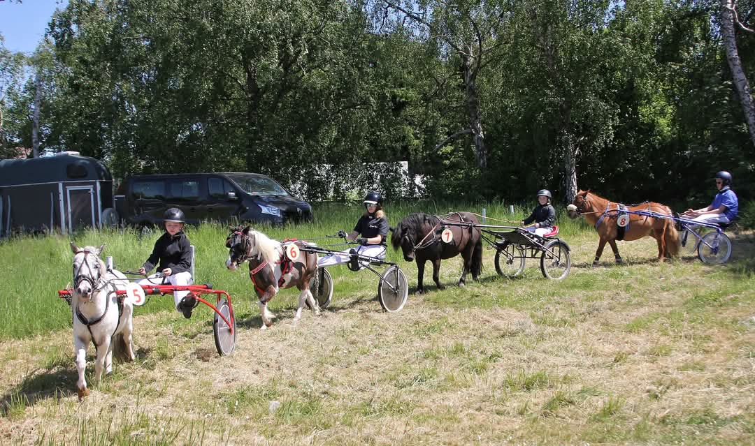 2025 10 05 Parade